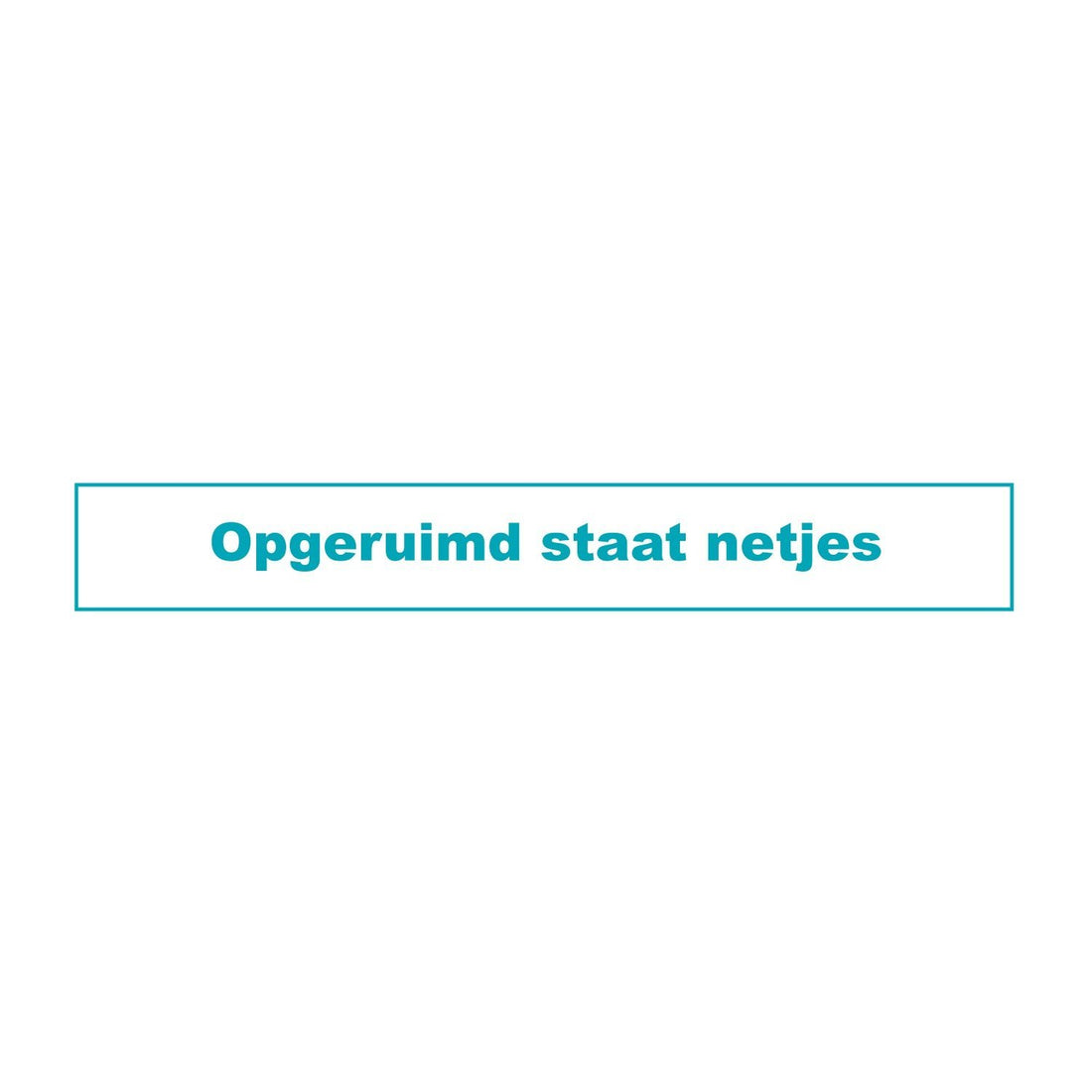 Opgeruimd staat netjes!